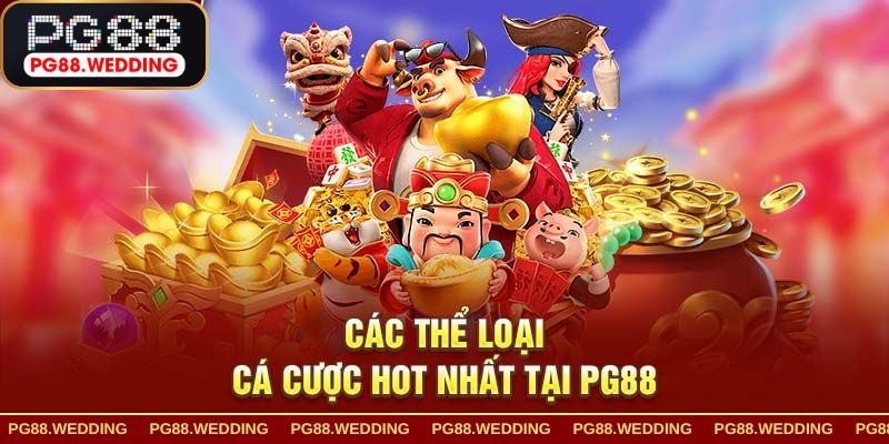 Cam Kết Về Chất Lượng Dịch Vụ